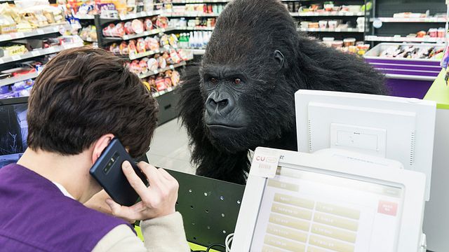 Rettet den Zoo Trailer DF