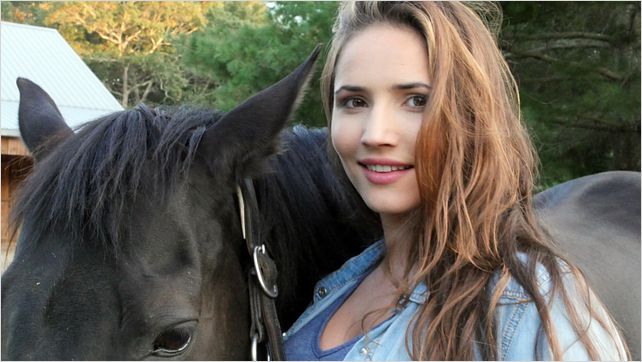 Black Beauty Neuverfilmung Black Beauty Neuverfilmung