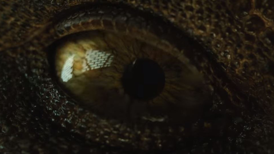 Jurassic world 2 das gefallene königreich trailer deutsch