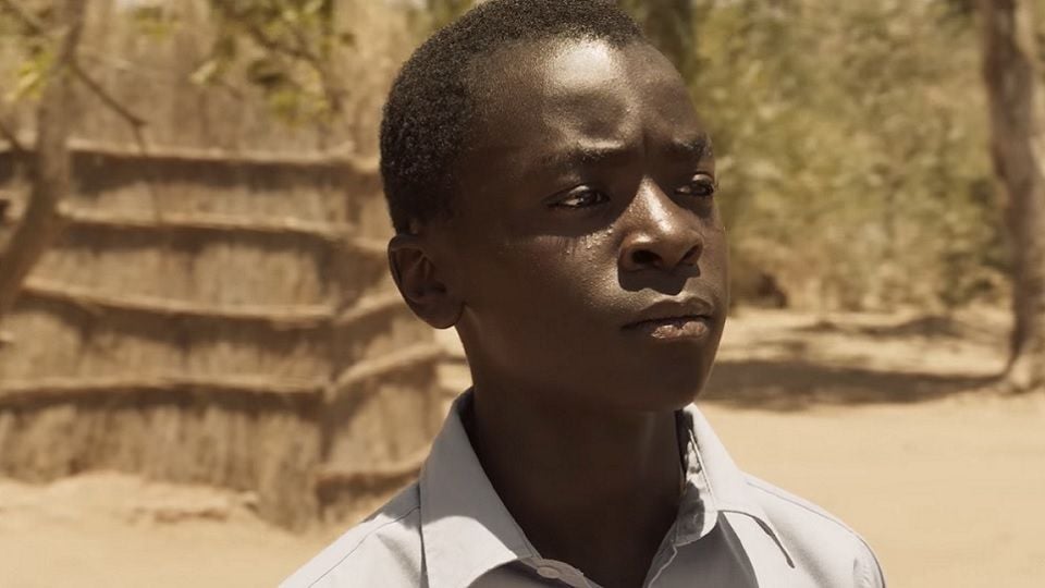 Der Junge Der Den Wind Einfing