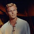 Bilder Tab Hunter