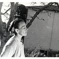 Bilder Helene Weigel