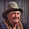 Bilder Walter Brennan