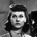 Bilder Ann Robinson