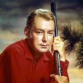 Bilder Alan Ladd
