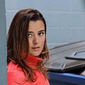 Bilder Cote De Pablo