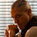 Bilder Theo Rossi