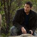 Bilder Sasha Roiz