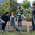 Bilder Cameron Crowe