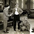 Bilder Harpo Marx