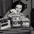 Bilder Hedy Lamarr