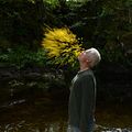 Bilder Andy Goldsworthy