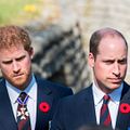 Bilder Prince Harry