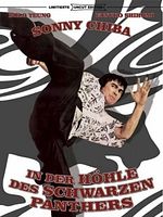 Poster der In der Höhle des schwarzen Panthers