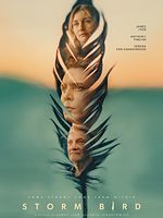 Poster der Storm Bird