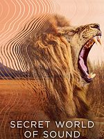 Bild von Die geheime Welt der Klänge mit David Attenborough