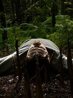 Poster der Bamboo Revenge