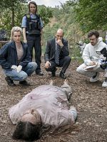 Poster der Tatort: Siebenschläfer