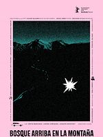 Poster der Forest up in the Mountain