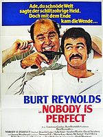 Poster der Nobody Is Perfect