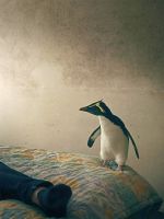 Poster der Tristan Forever