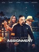 Poster der Security Assignments