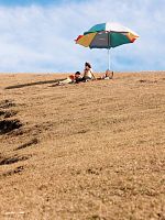 Poster der Der Botaniker