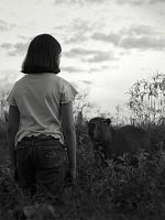 Poster der Die Nachricht