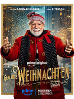 Poster der The Man With The Bag