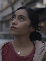 Poster der Ashes