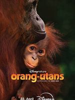 Poster der Disneynature: Orang-Utans