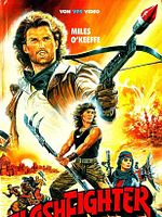 Poster der Flash Fighter