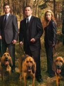 Bild von Without a Trace – Spurlos verschwunden