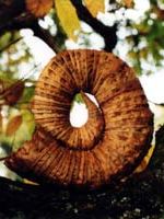 Poster der Rivers and Tides