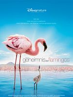 Poster der Das Geheimnis der Flamingos