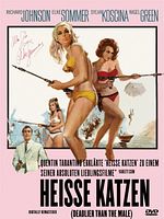 Poster der Heiße Katzen