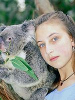 Bild von Koalas und andere Verwandte