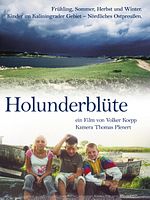 Poster der Holunderblüte