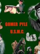 Bild von Gomer Pyle, U.S.M.C.