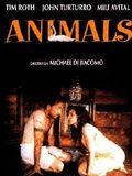Poster der Animals