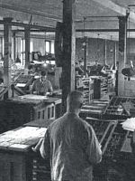 Poster der Zwiebelfische