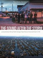 Poster der The Sound After The Storm