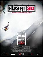 Poster der Art of Flight