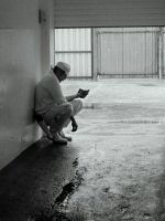 Poster der Ravioli- Träume in Dosen