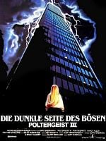 Poster der Poltergeist III