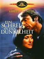 Poster der Ein Schrei in der Dunkelhei