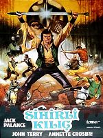 Poster der Hawk - Hüter des magischen Schwertes