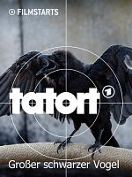 Poster der Tatort: Großer schwarzer Vogel