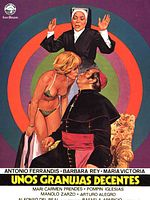 Poster der Unos granujas decentes