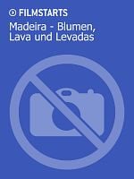 Poster der Madeira - Blumen, Lava und Levadas